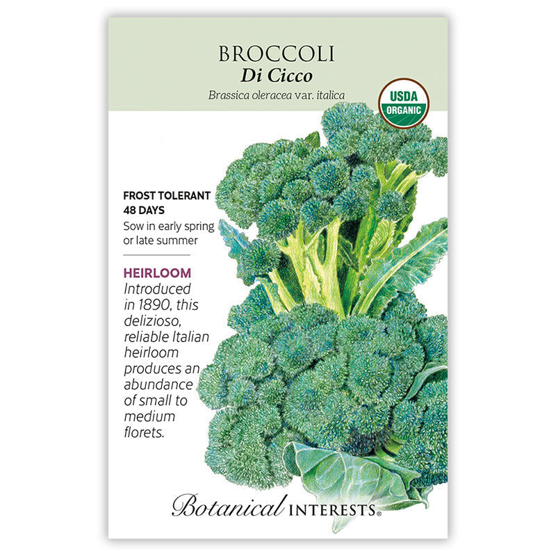 Di Cicco Broccoli Seeds