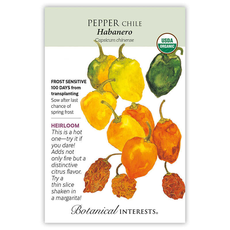 plant habanero seeds Habanero Chile Pepper Seeds