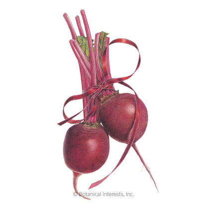 Detroit Dark Red Beet Seeds