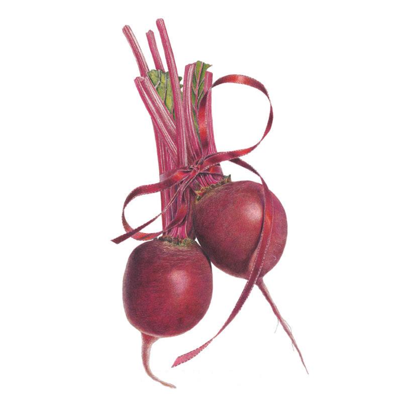 Detroit Dark Red Beet Seeds