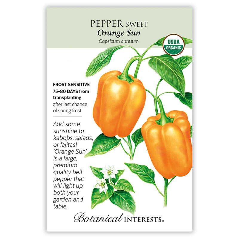 planting orange pepper seeds Orange Sun Sweet Pepper Seeds