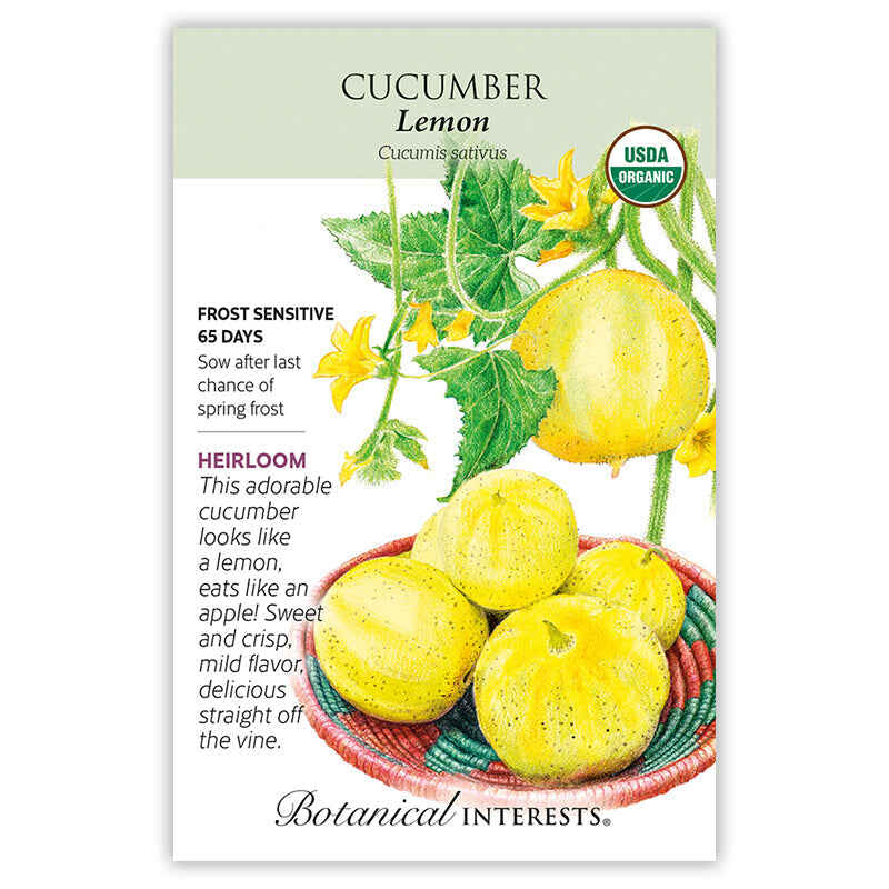 planting lemon cucumber seeds Lemon Cucumber Seeds
