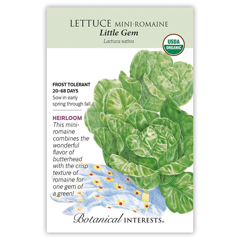 Little Gem Mini-Romaine Lettuce Seeds