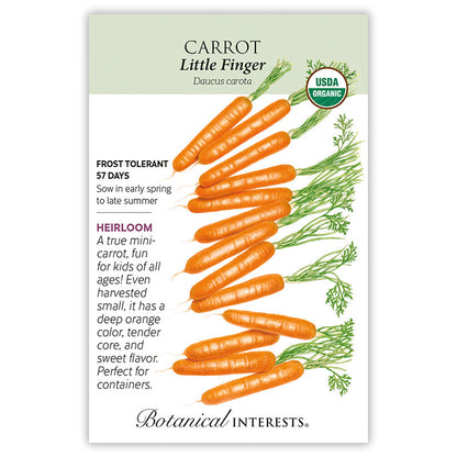 Little Finger Carrot Seeds