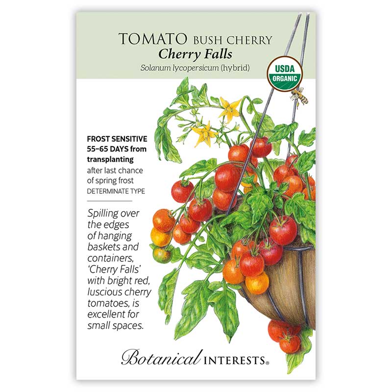 Container Vegetable Gift Set