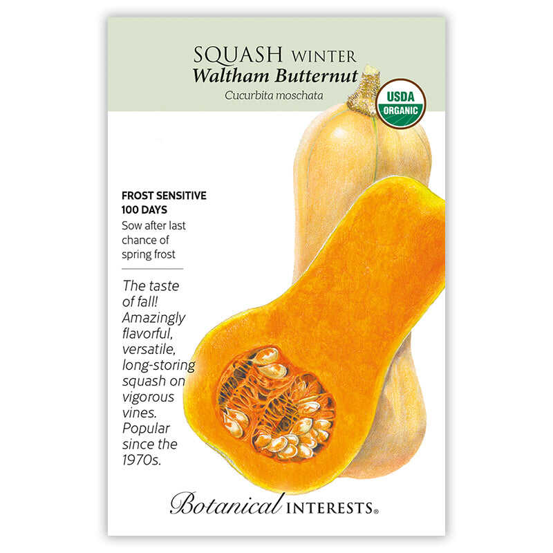 squash seed planting depth Waltham Butternut Winter Squash Seeds