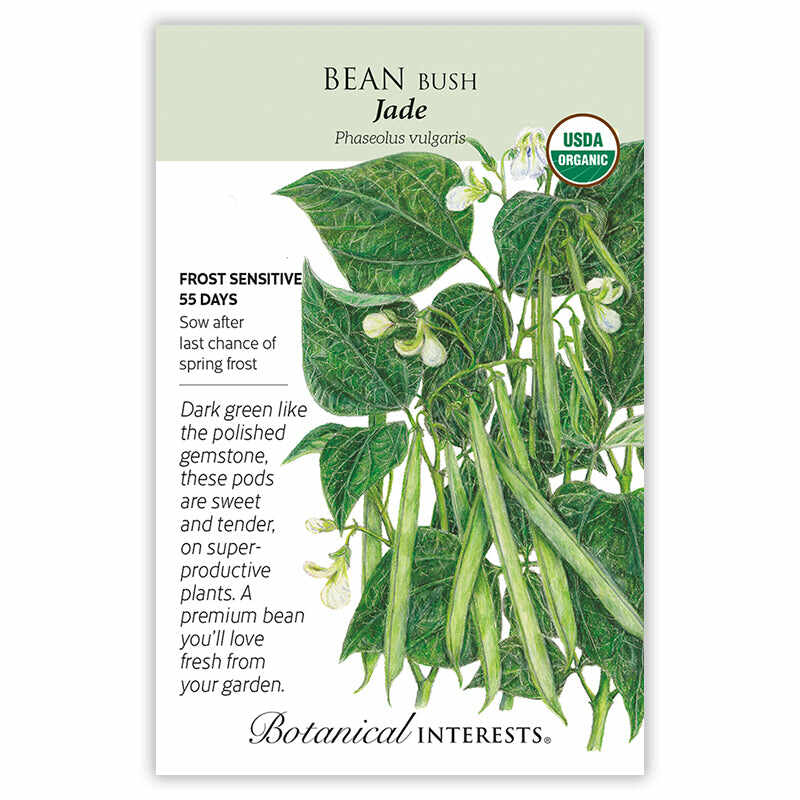 planting jade bush beans Jade Bush Bean Seeds