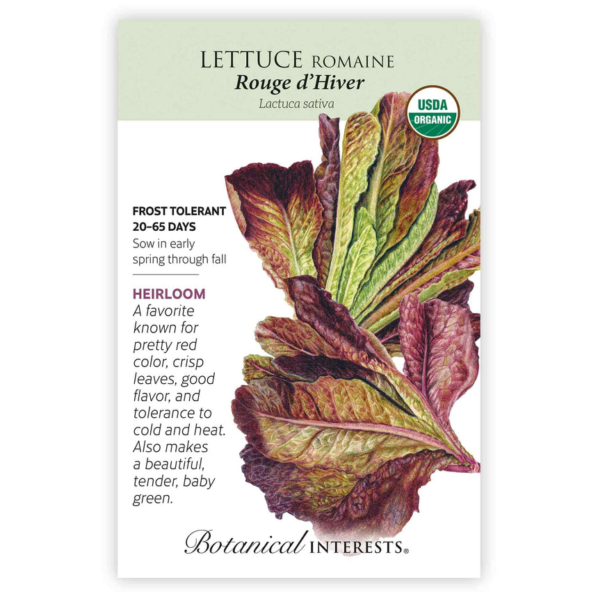 plant romaine lettuce seeds Rouge d'Hiver Romaine Lettuce Seeds