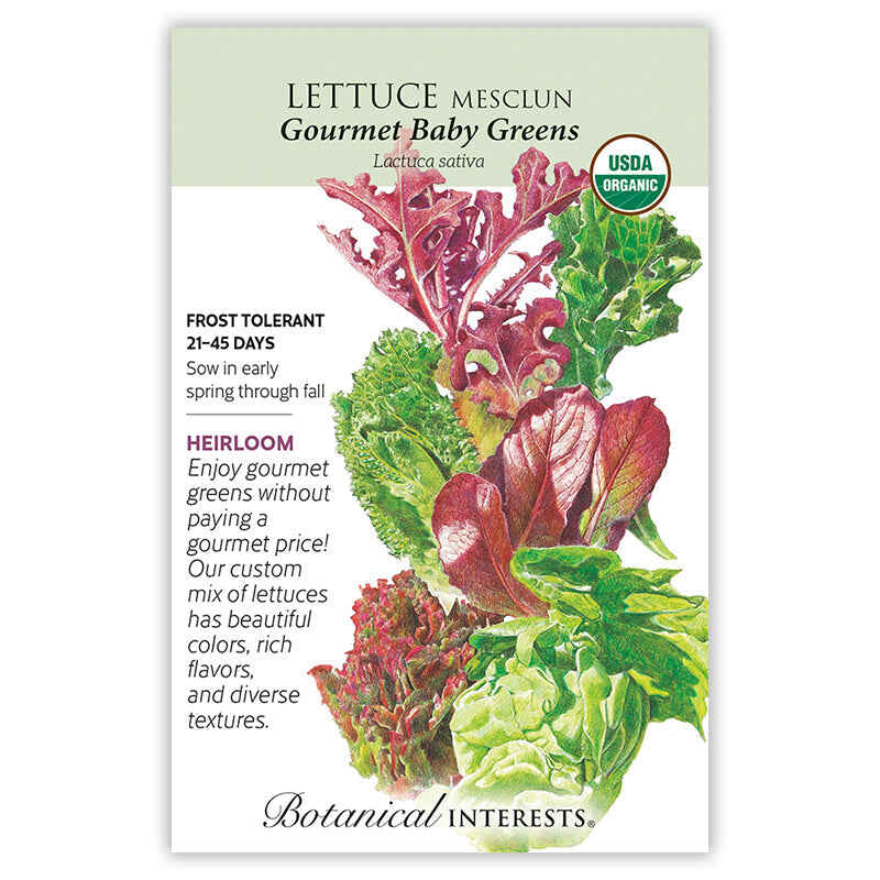 planting mesclun lettuce seeds Gourmet Baby Greens Mesclun Lettuce Seeds – Botanical Interests