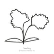 Utah Celery Seeds