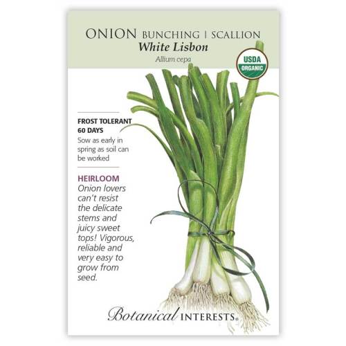 White Lisbon Bunching/Scallion Onion Seeds