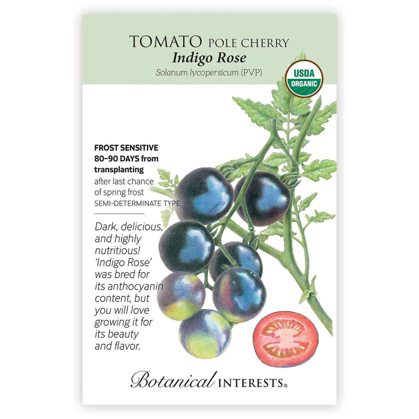 indigo rose seeds Indigo Rose Pole Cherry Tomato Seeds | Organic Tomato Seed