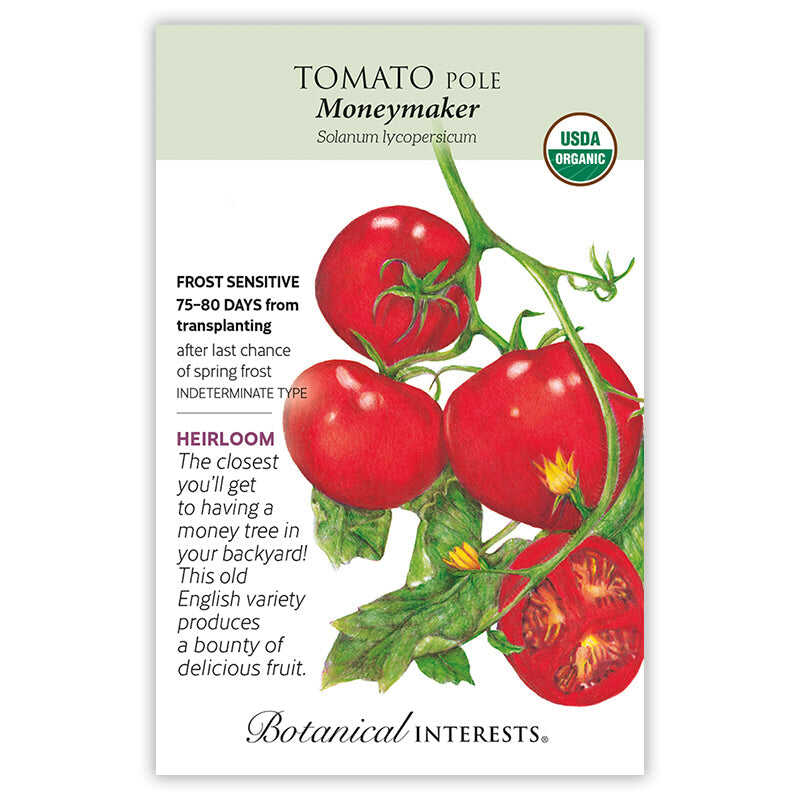 Moneymaker Pole Tomato Seeds – Botanical Interests