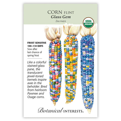 Glass Gem Flint Corn Seeds