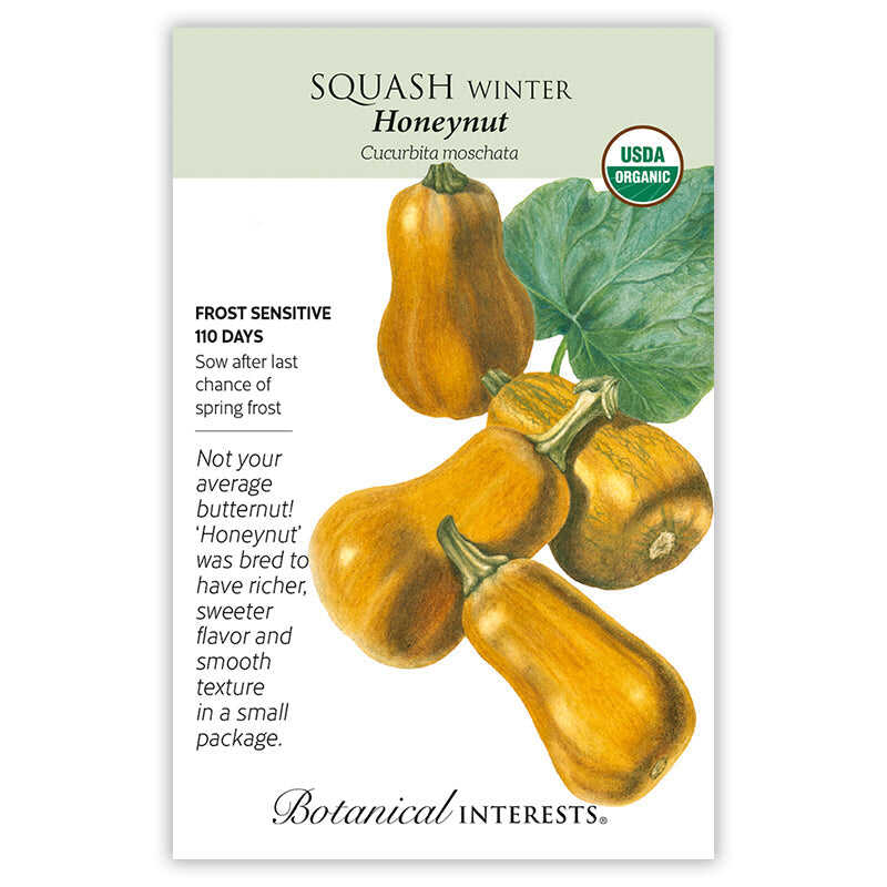 planting winter squash seeds Honeynut Winter Squash Seeds