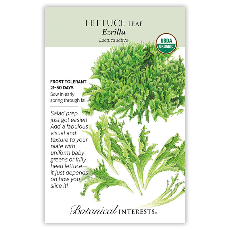 Ezrilla Leaf Lettuce Seeds
