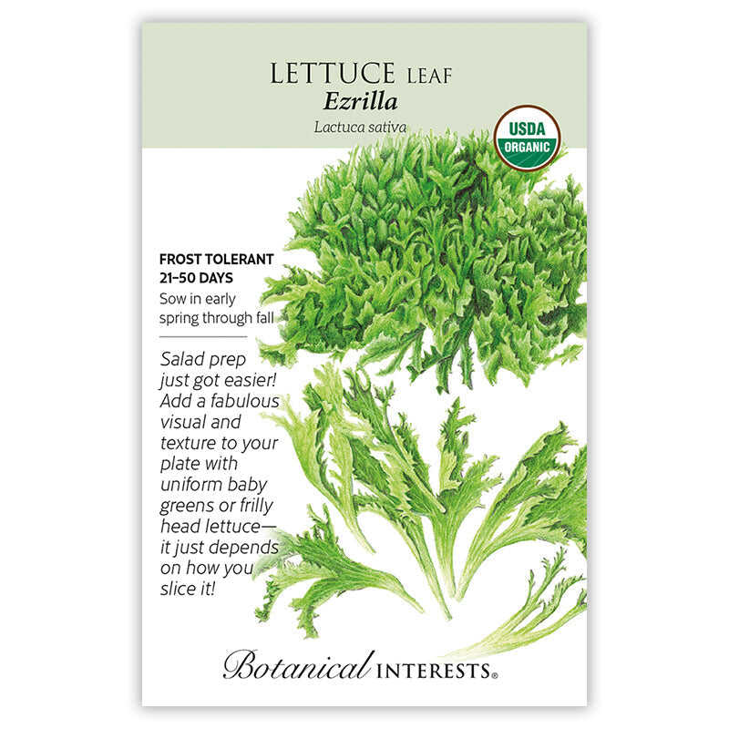 plant salad seeds Ezrilla Organic EazyLeaf Lettuce Seeds