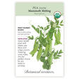 Mammoth Melting Snow Pea Seeds