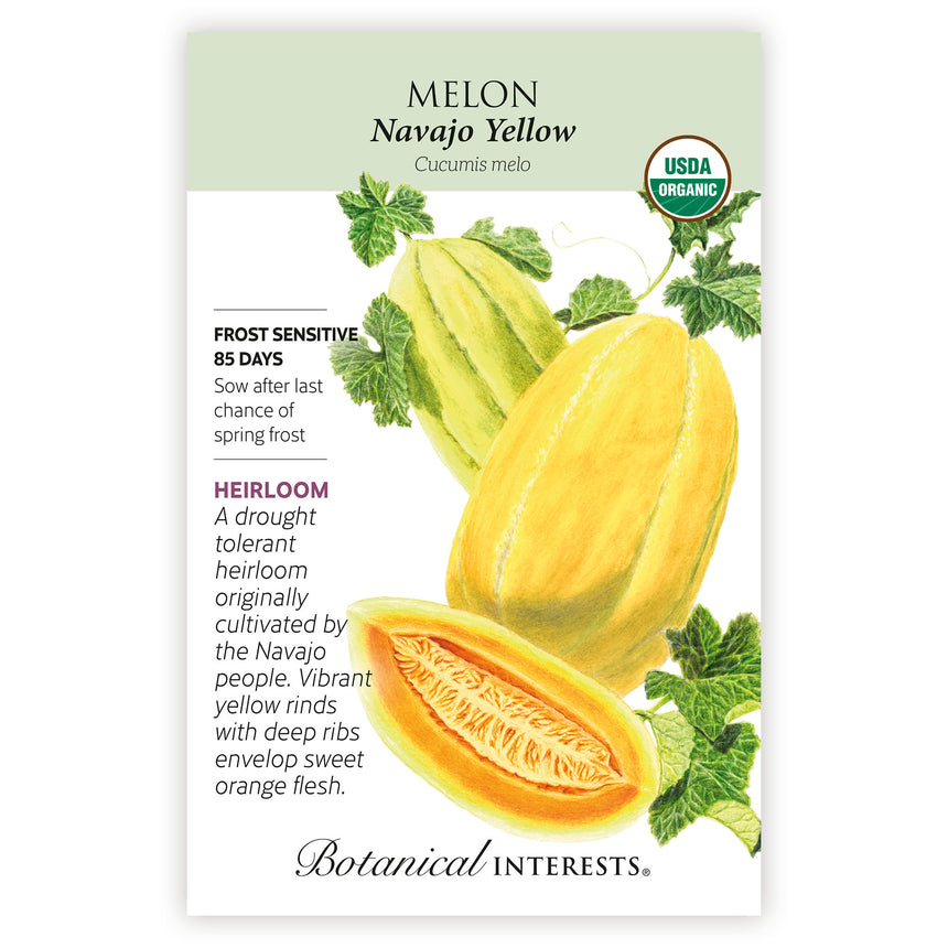 Navajo Yellow Cantaloupe/Muskmelon Melon Seeds