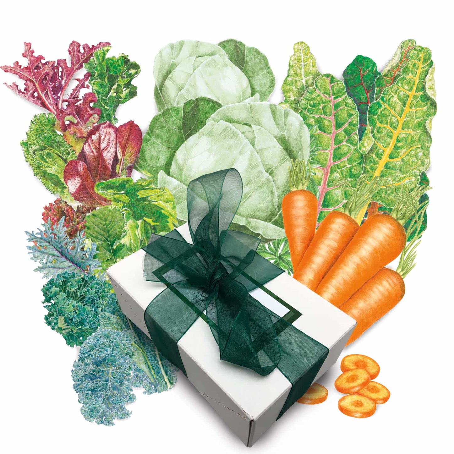 Fall Vegetable Garden Gift Set