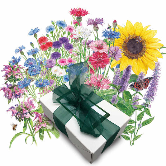 Bee Happy Seed Gift Set
