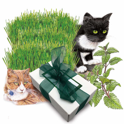 Cat Lovers Gift Set