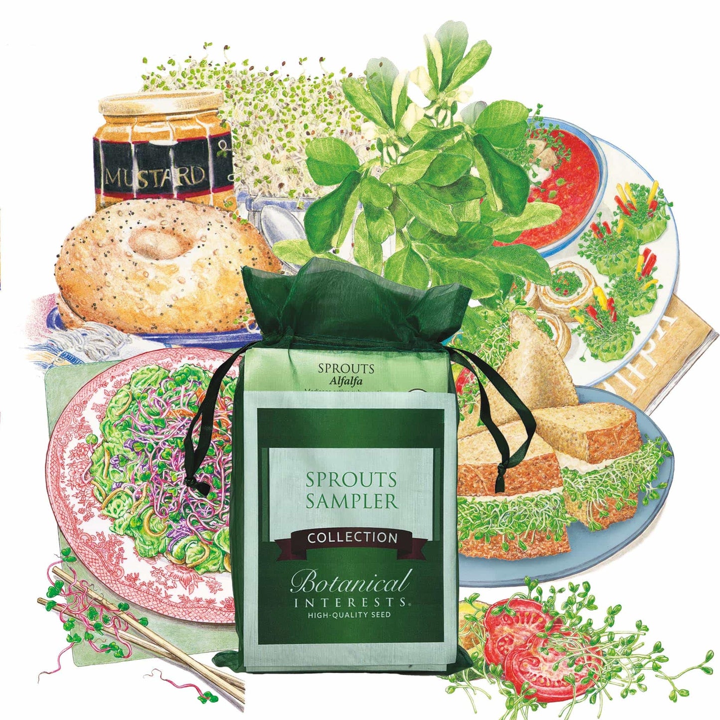 Sprout Sampler Seed Gift Set