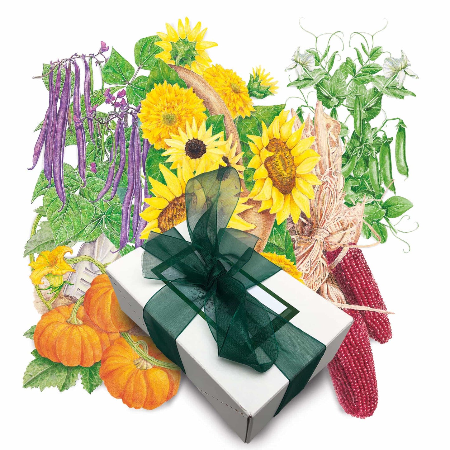 Children's Garden Gift Set