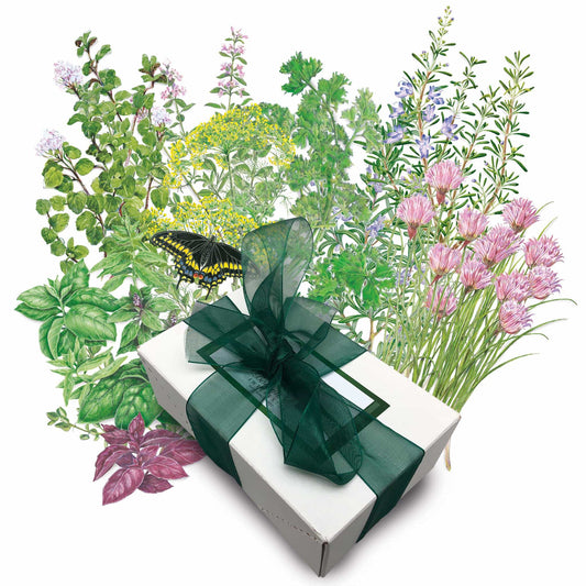 Chefs Herb Garden Gift Set