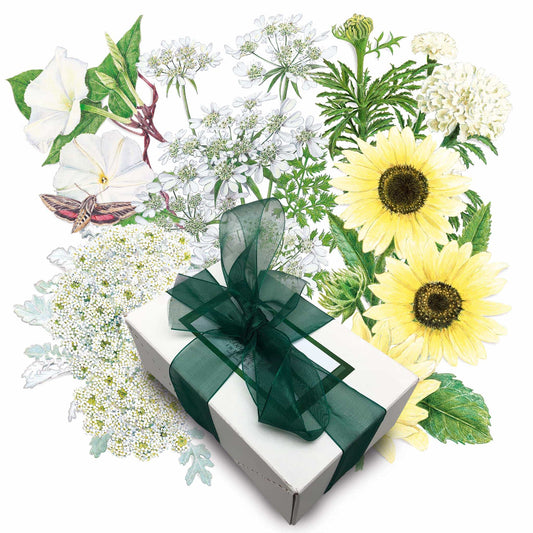 Moon Garden Gift Set