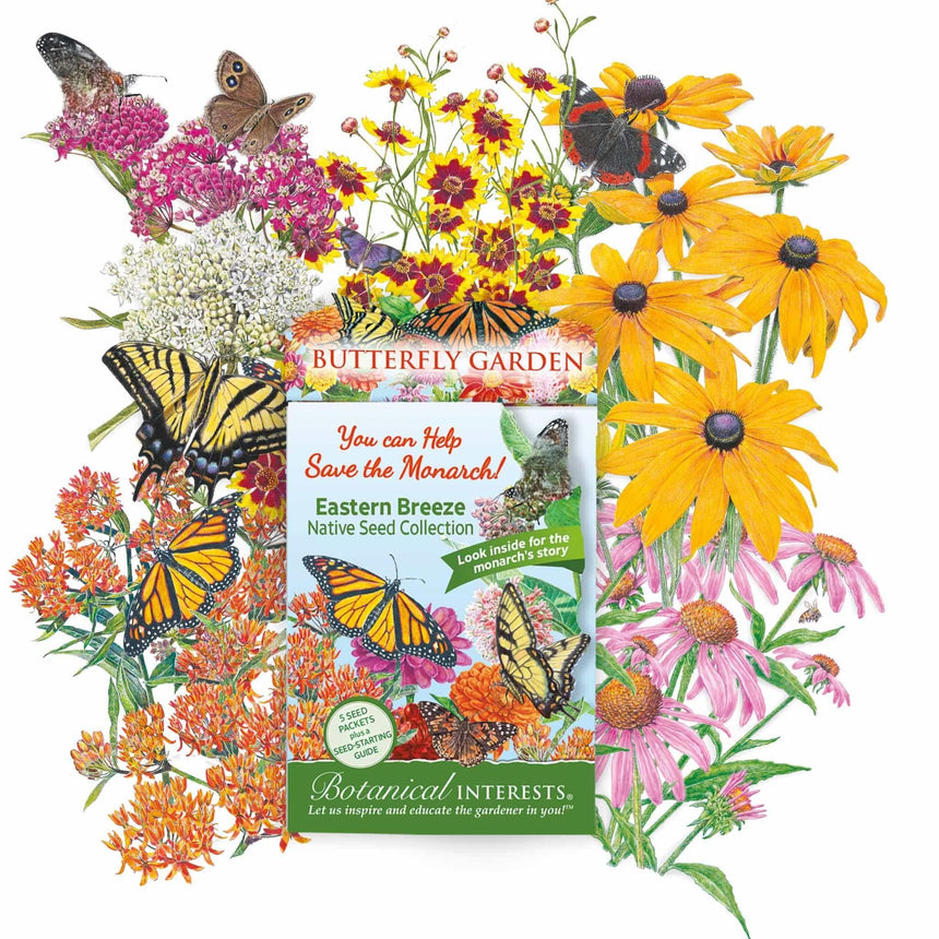 butterfly garden seed packets Eastern Breeze Butterfly Gift Set – Botanical Interests