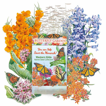 Western Glide Butterfly Gift Set