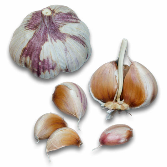 Blossom Hardneck Garlic - USDA Certified Organic