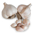 Two whole Nootka Rose garlic bulbs with papery white skin streaked pink, roots intact, alongside a loose cluster of separated cloves in front, on a plain white background.