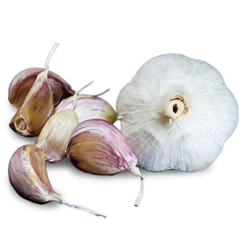 Romanian Red Garlic - USDA Certified Organic