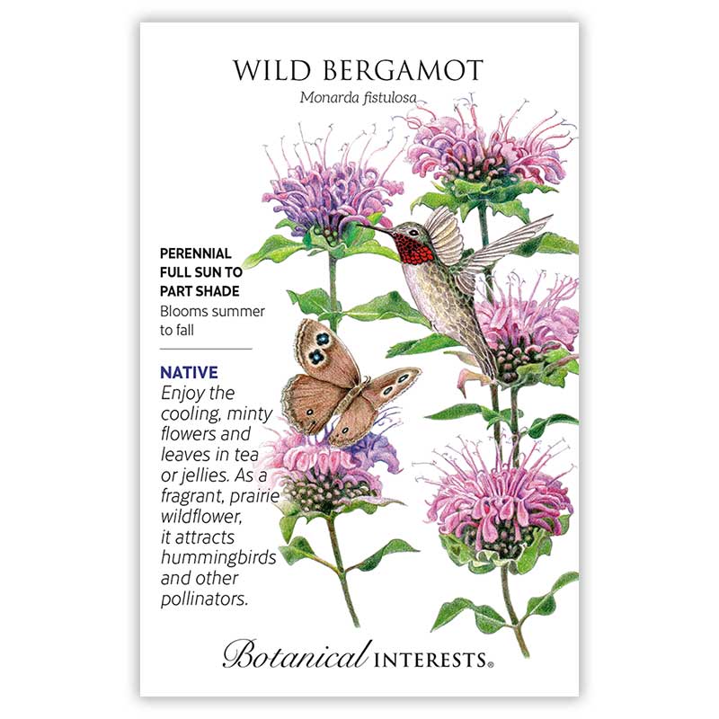 planting wild bergamot seeds Wild Bergamot Seeds – Botanical Interests