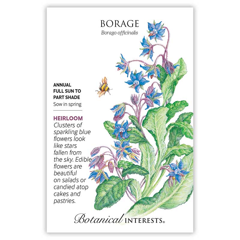 Borage Seeds