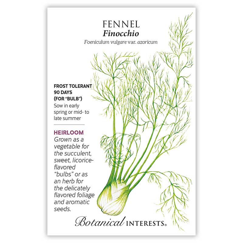 Finocchio Fennel Seeds