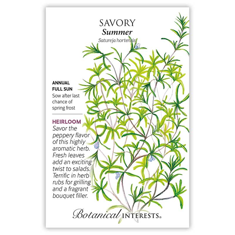 planting summer savory seeds Summer Savory Seeds – Botanical Interests
