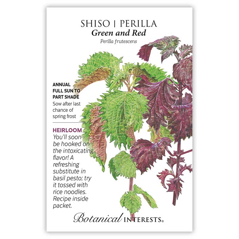 Green and Red Shiso Perilla Seeds
