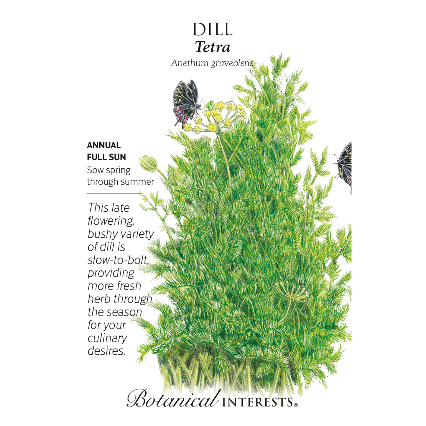 Tetra Dill Seeds