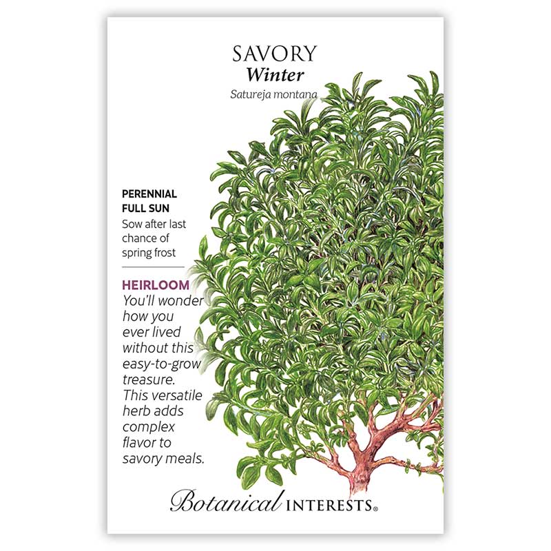 Winter Savory Seeds