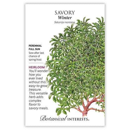 Winter Savory Seeds