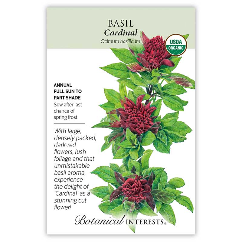 Cardinal Basil Seeds – Botanical Interests