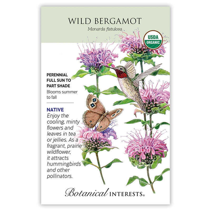 bergamot flower seeds Wild Bergamot Seeds – Botanical Interests