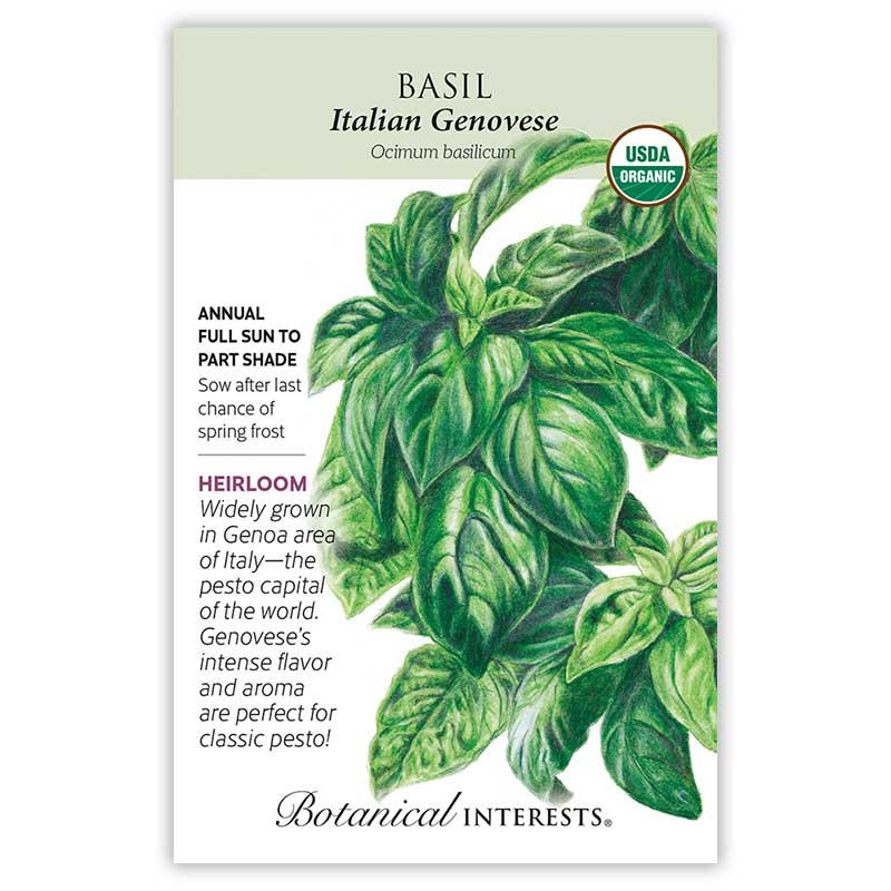 Italian Genovese Basil Seeds