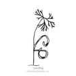 Bouquet Dill Seeds