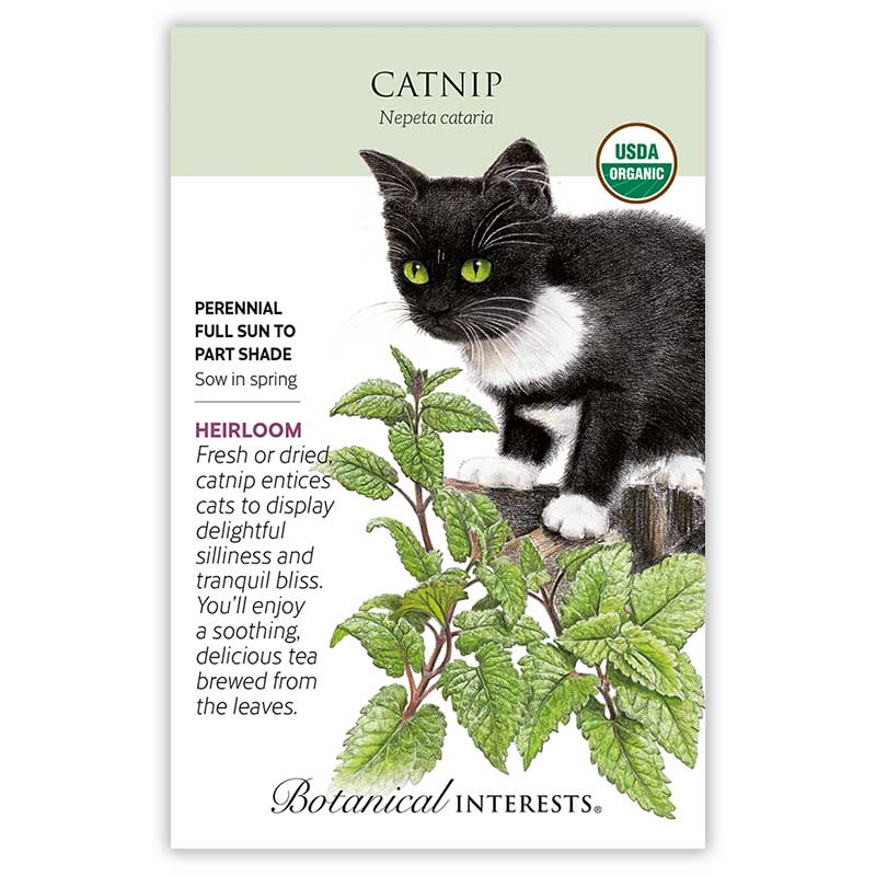 Catnip Seeds – Botanical Interests