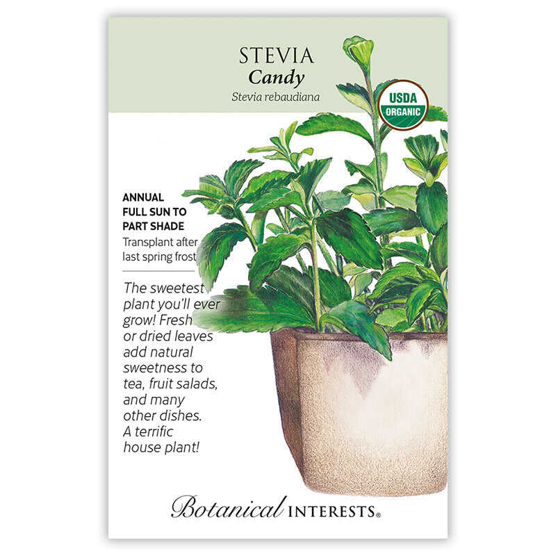stevia sugar plant seeds Candy Stevia Seeds – Botanical Interests