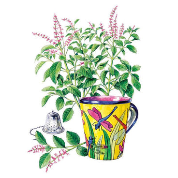 Tulsi Holy Basil Seeds